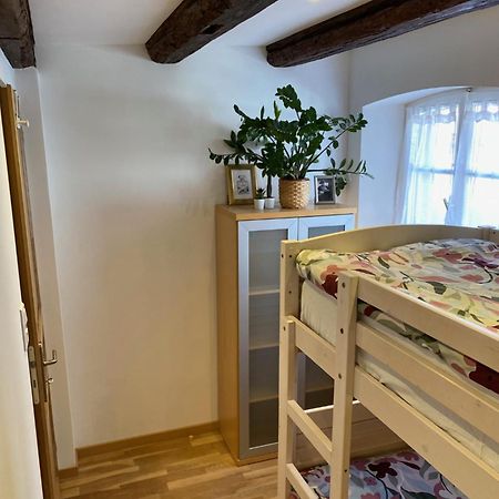 Le 128, Duplex Alsacien 10 Personnes, Piscine Apartman Horbourg Kültér fotó