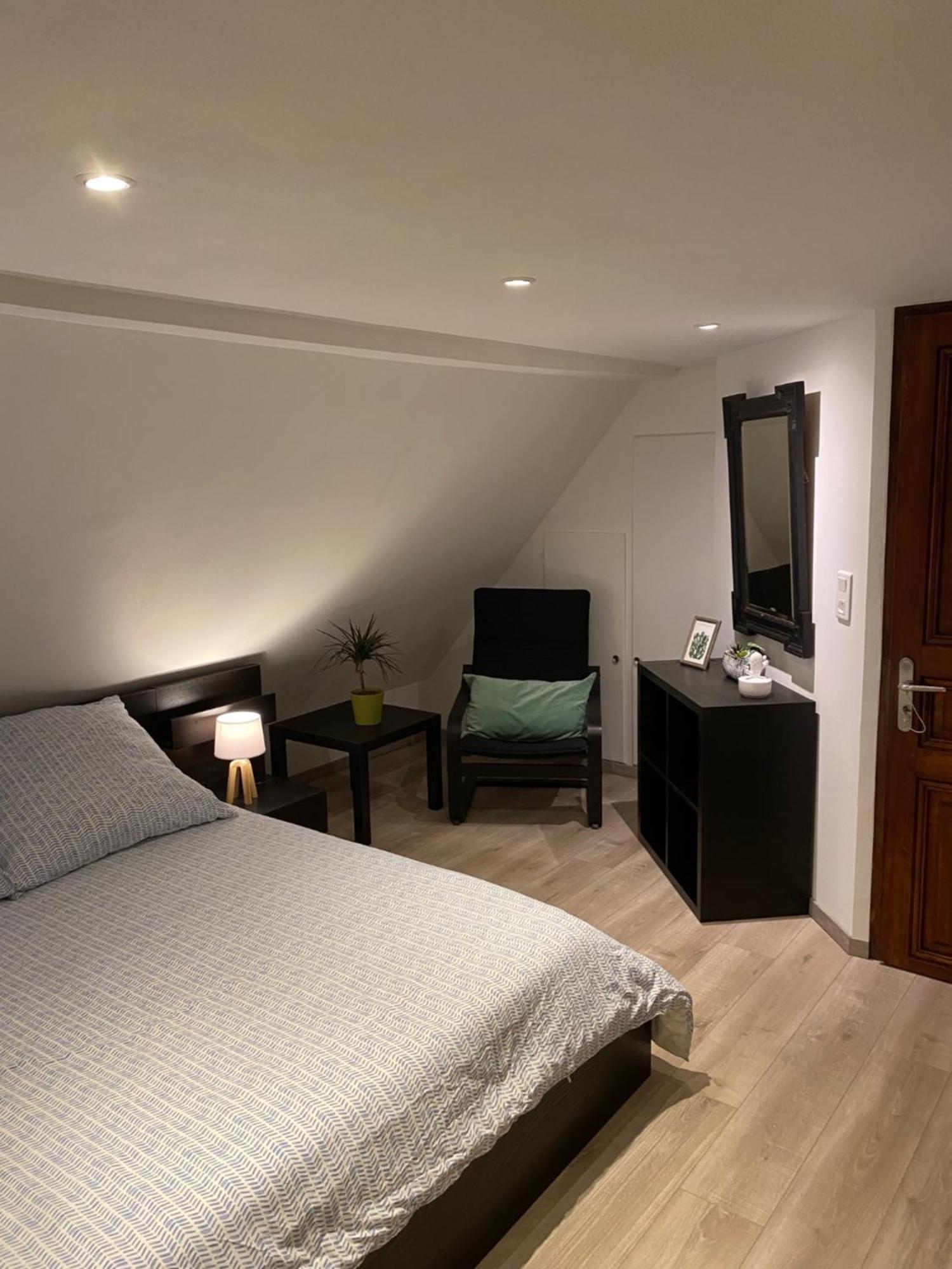 Le 128, Duplex Alsacien 10 Personnes, Piscine Apartman Horbourg Kültér fotó