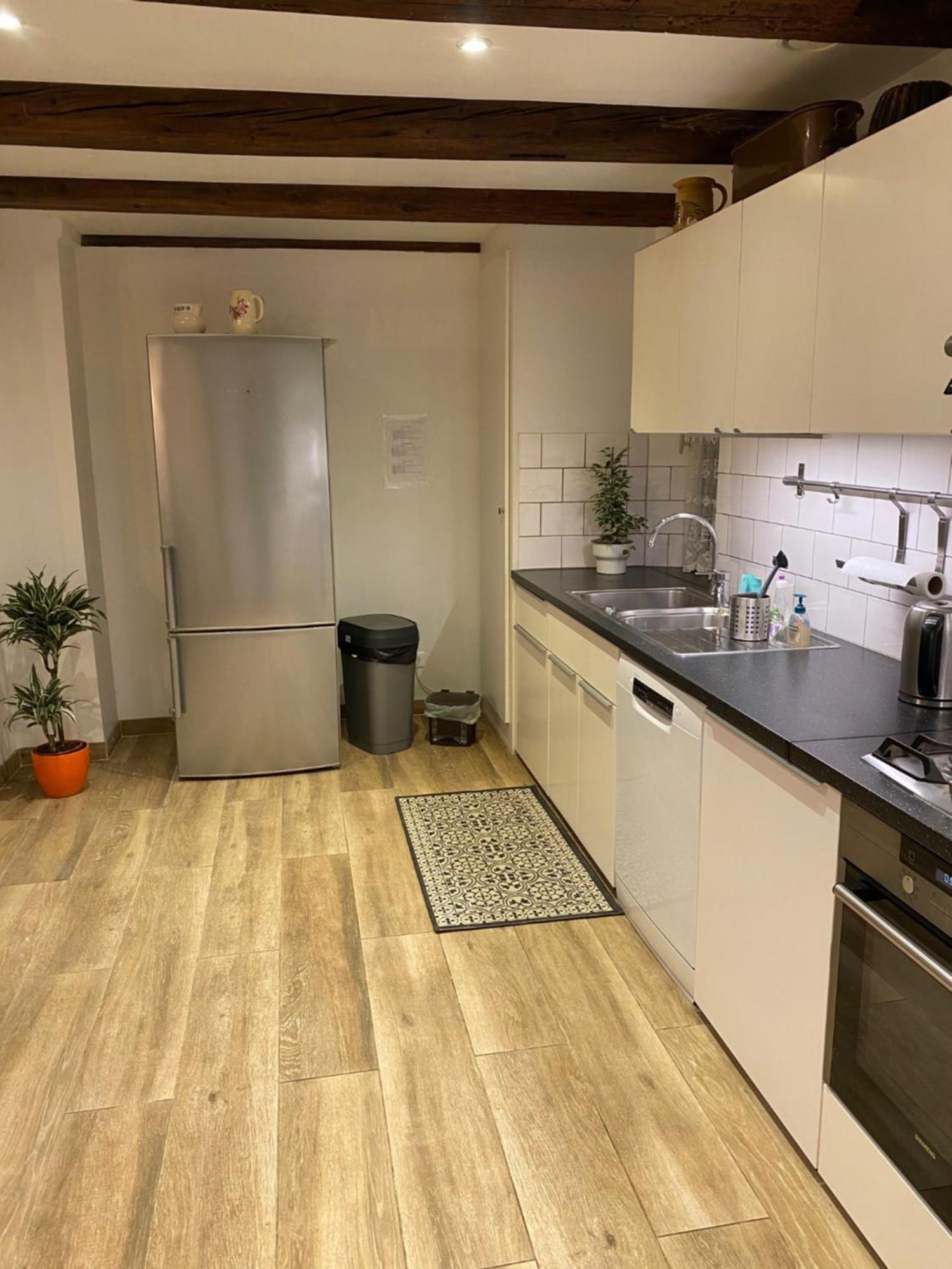 Le 128, Duplex Alsacien 10 Personnes, Piscine Apartman Horbourg Kültér fotó